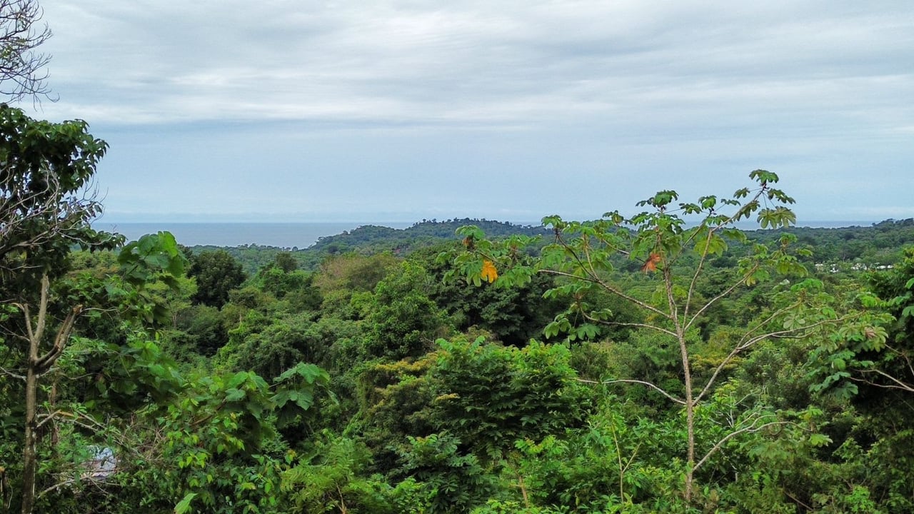 Expansive 1.74 Acre OCEAN VIEW lot w/2 large building sites
