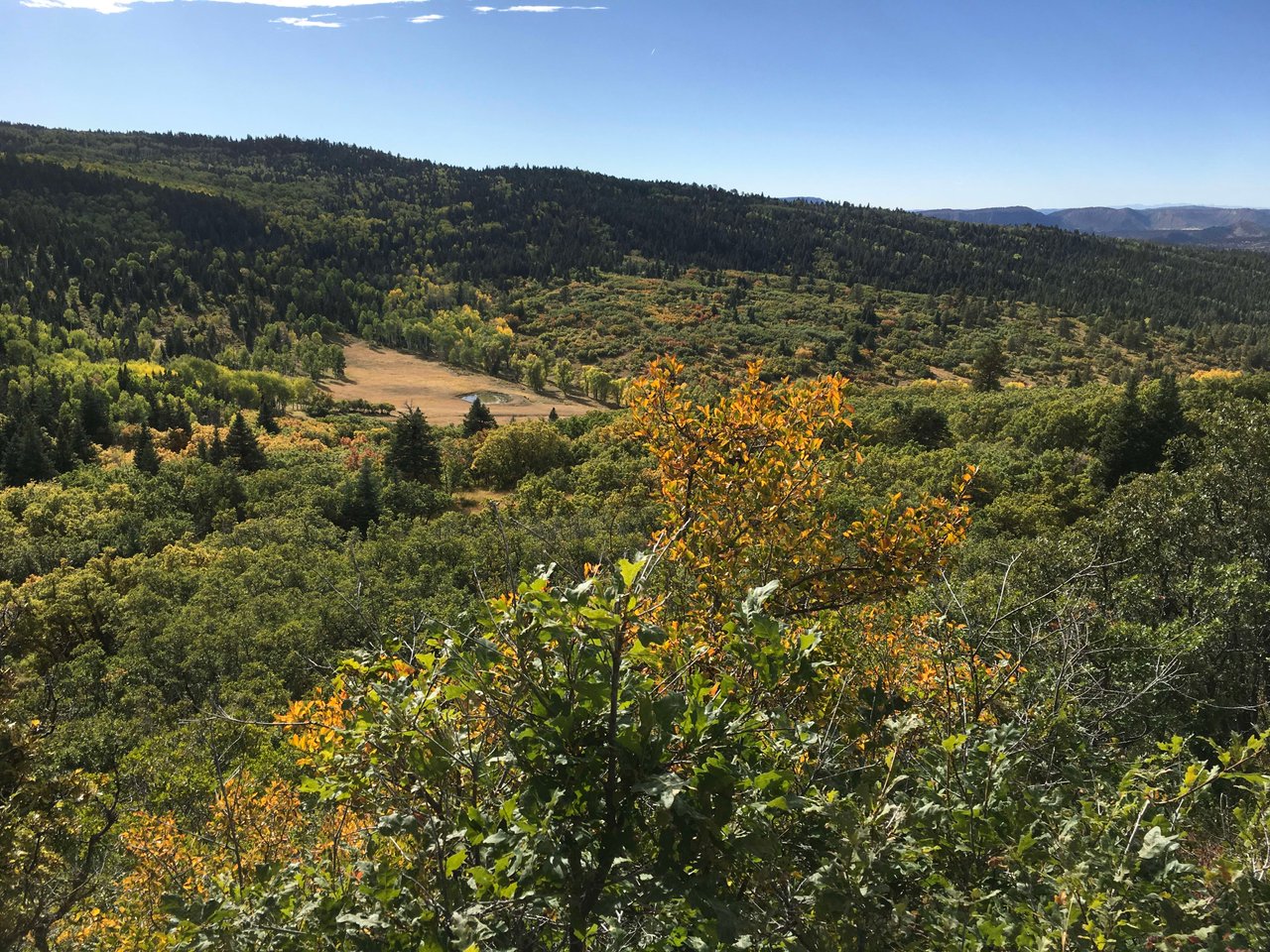 Southern Colorado Riverfront Mountain Ranch