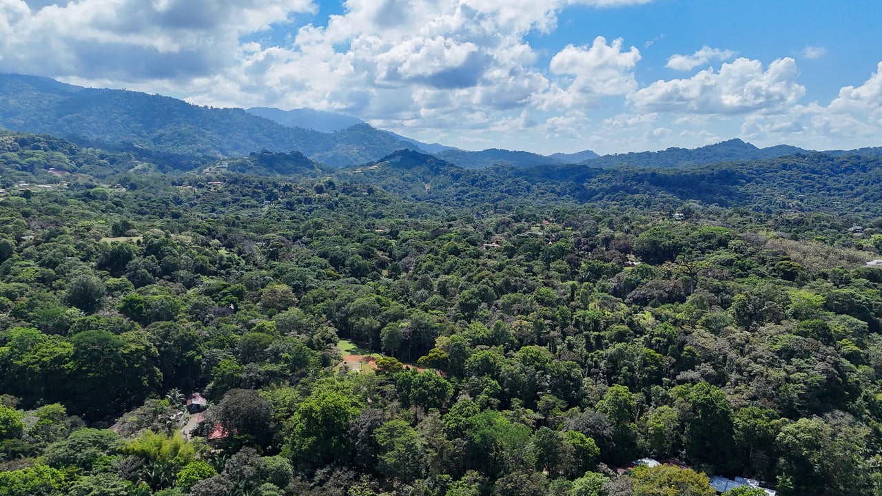 Elevated 2.2 Acres Jungle And Creek-Fronting Mountain View Lot In Ojochal