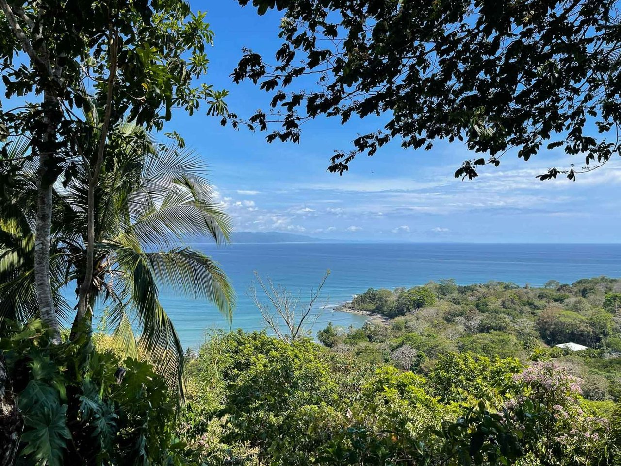 Pacific Frontage Rainforest Estate, Osa, Puntarenas