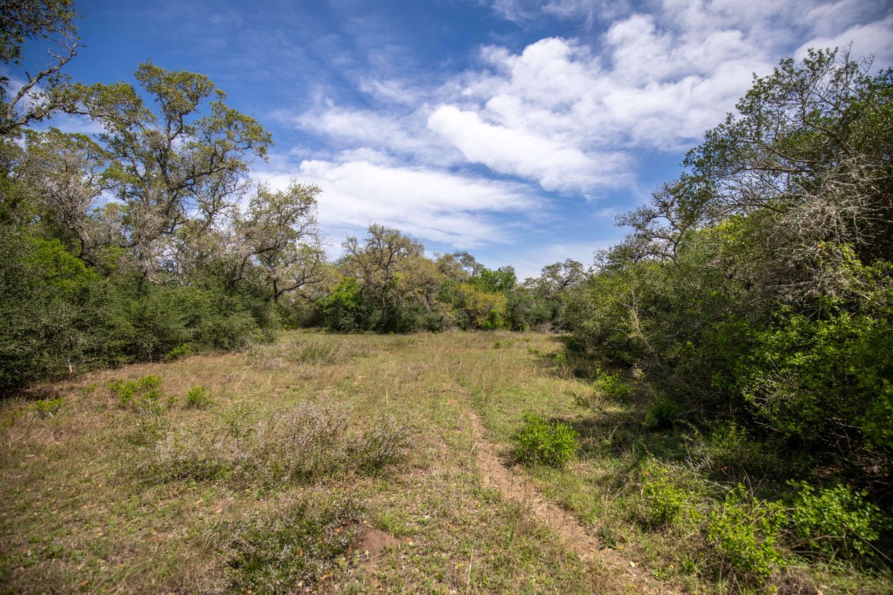 Weesatche 110 Acres