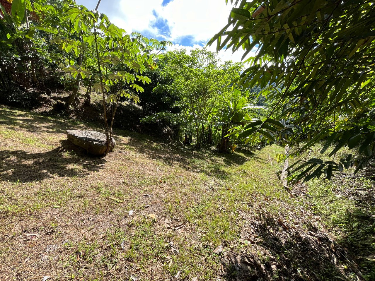 Costa Azul 120-degree Mountain View House With Costarican Wooden House as Lagniappe.