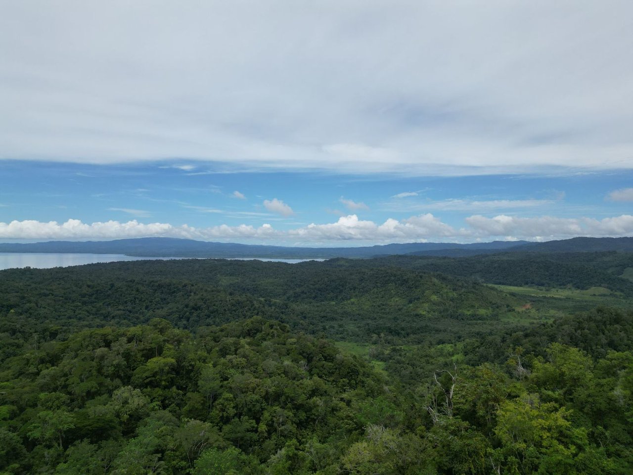 Ocean View Rainforest Acreage, Osa, Puntarenas