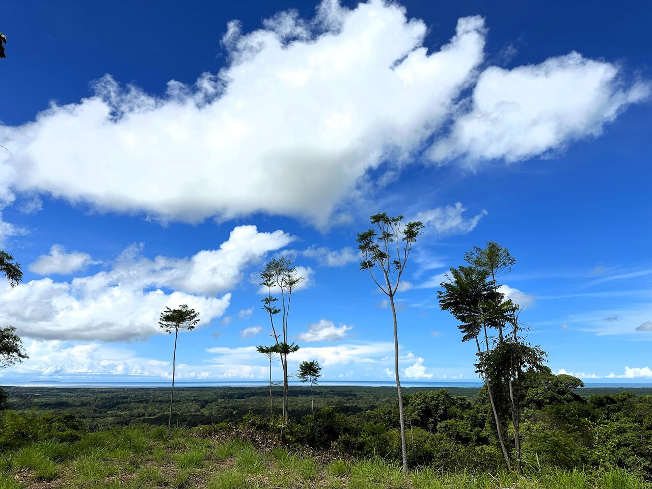 2 Acres Property with 360 Panoramic Views!
