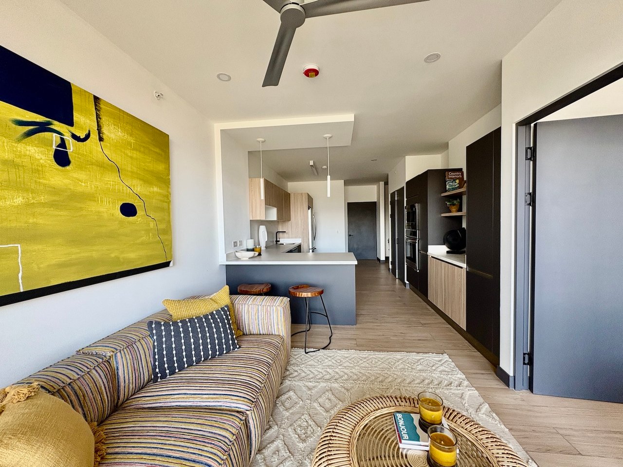 Contemporary Mountain View Condo, Santa Ana, San Jose