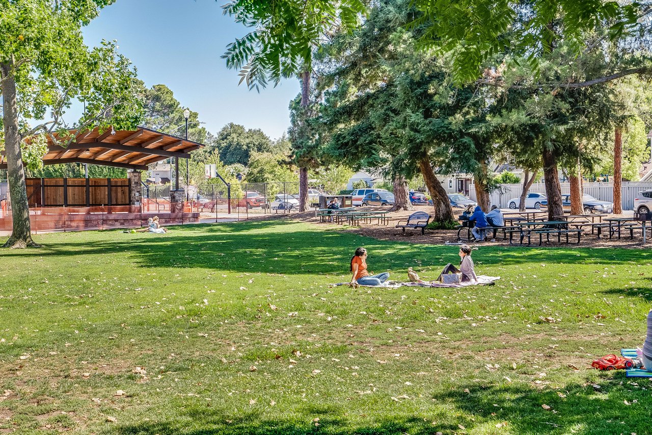 Rooted In Community.