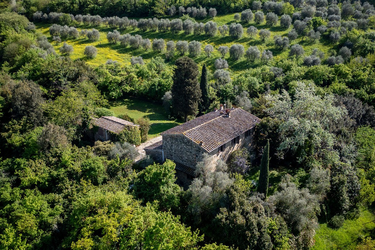 The Florentine Lady “Elegant property located near the center of Florence”