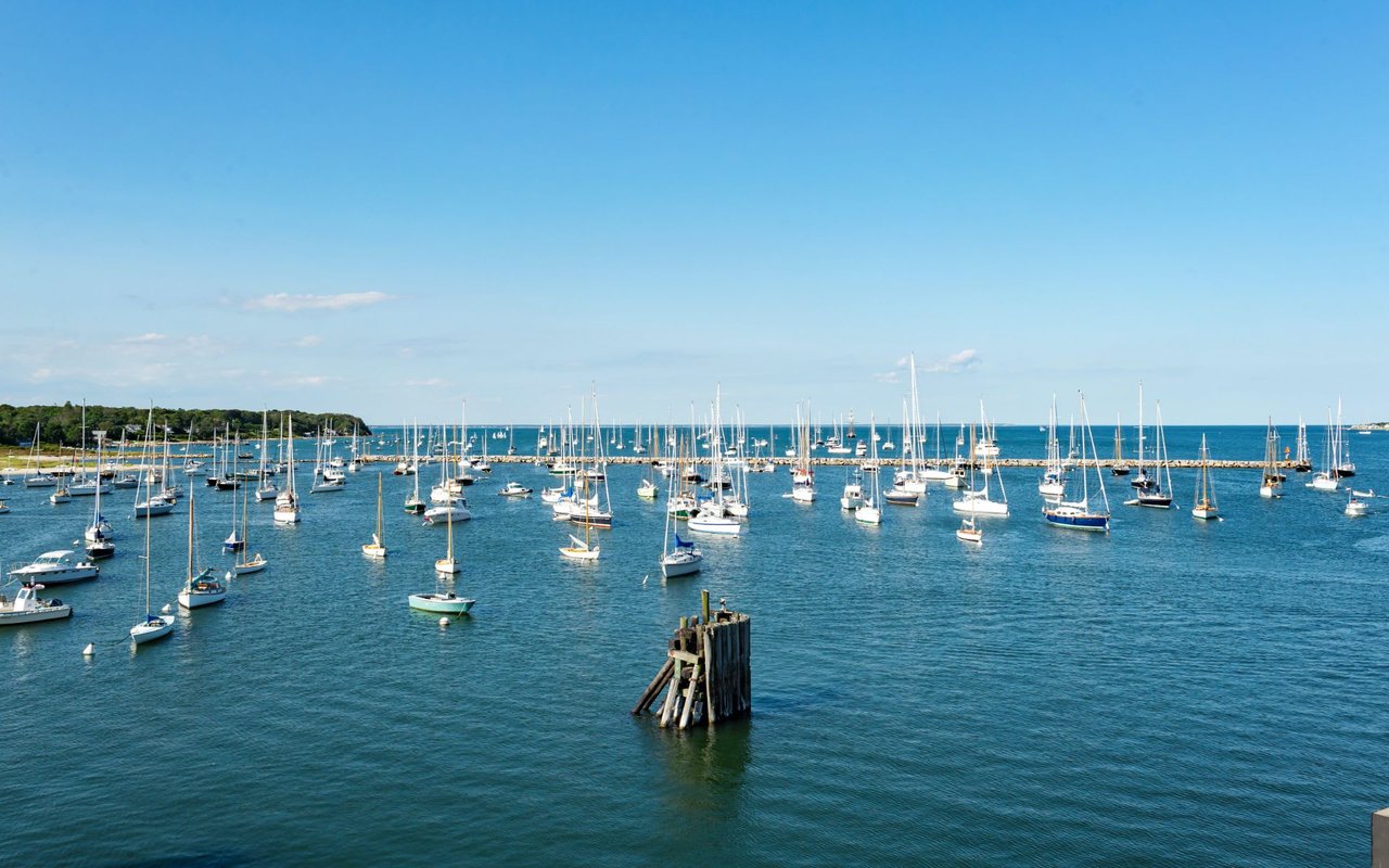 Woods Hole