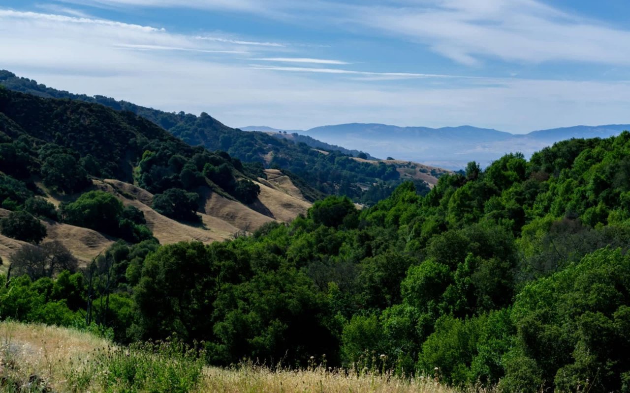 Things to Do in Danville, CA