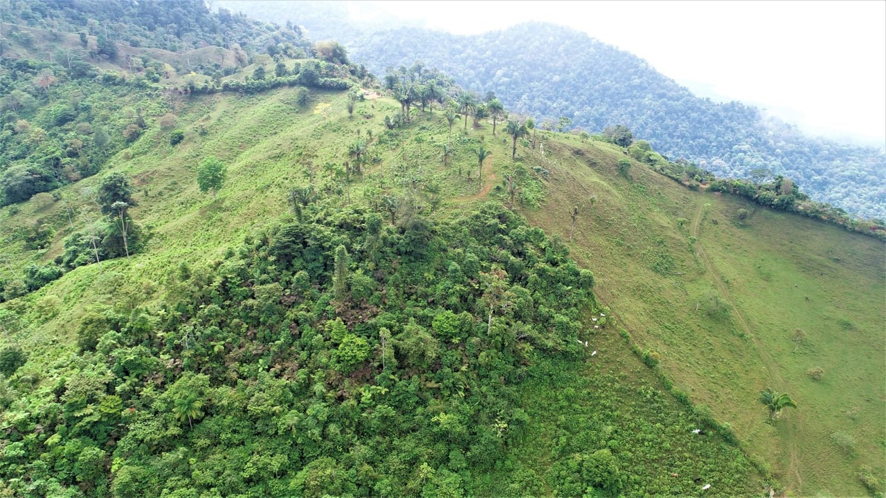 Ocean View Development Farms, Uvita, Puntarenas