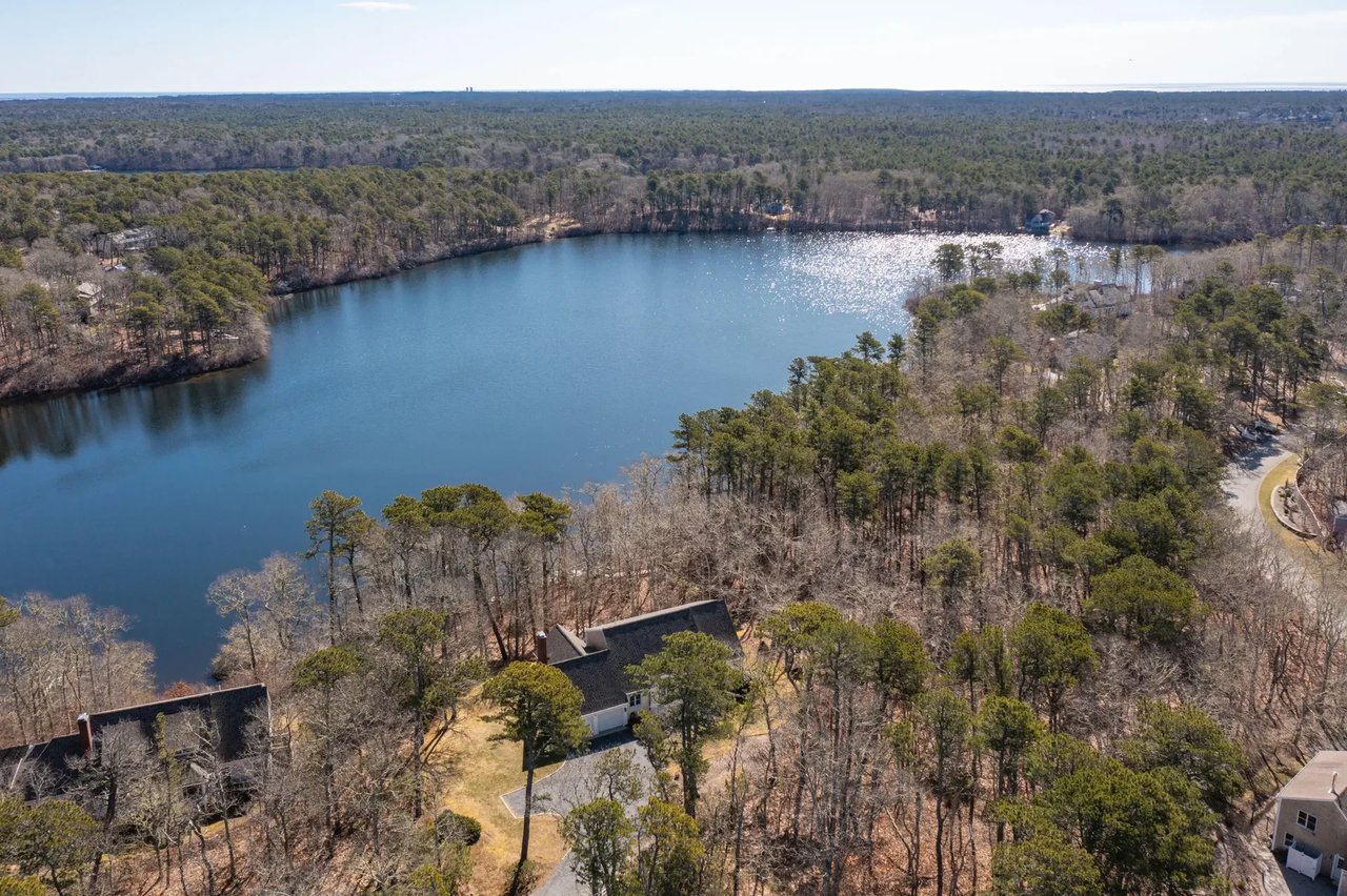 Walker's Pond Tranquility