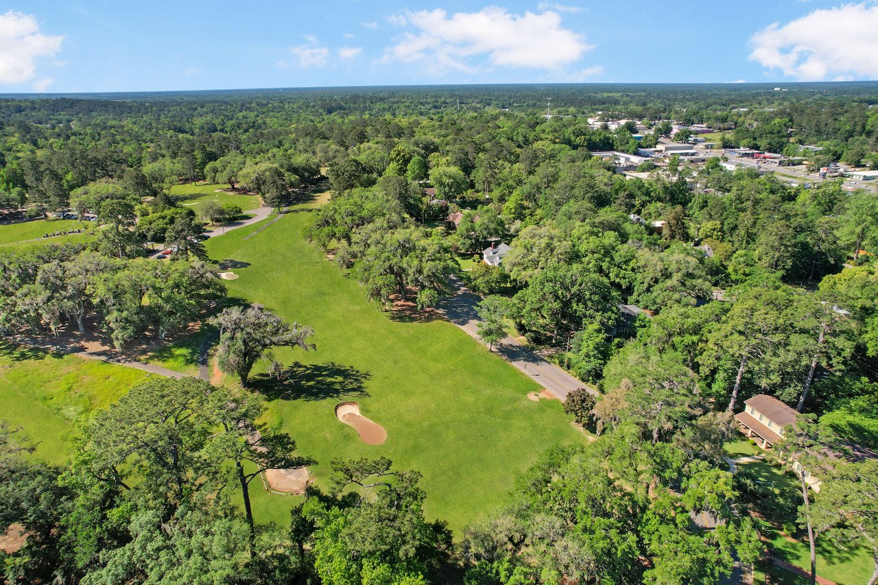 Aerial view of the Myers Park showing more of the grassy areas and tree cover.