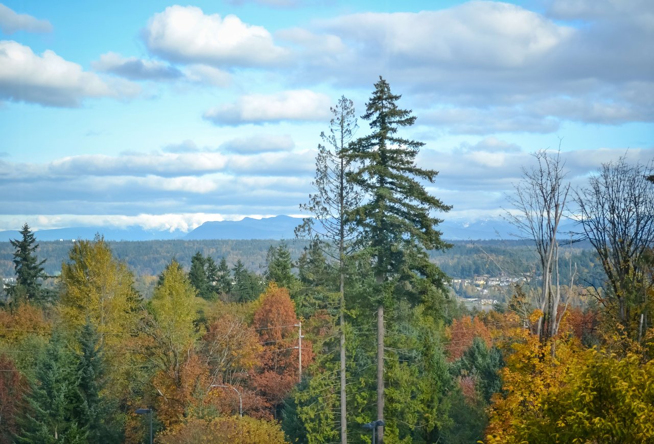 Redmond