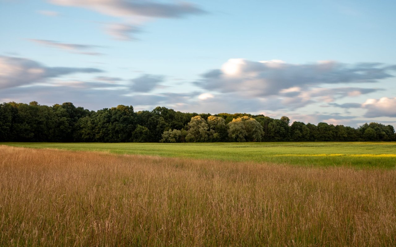 Blue Line Stream Restrictions Every Rural Land Buyer Must Know