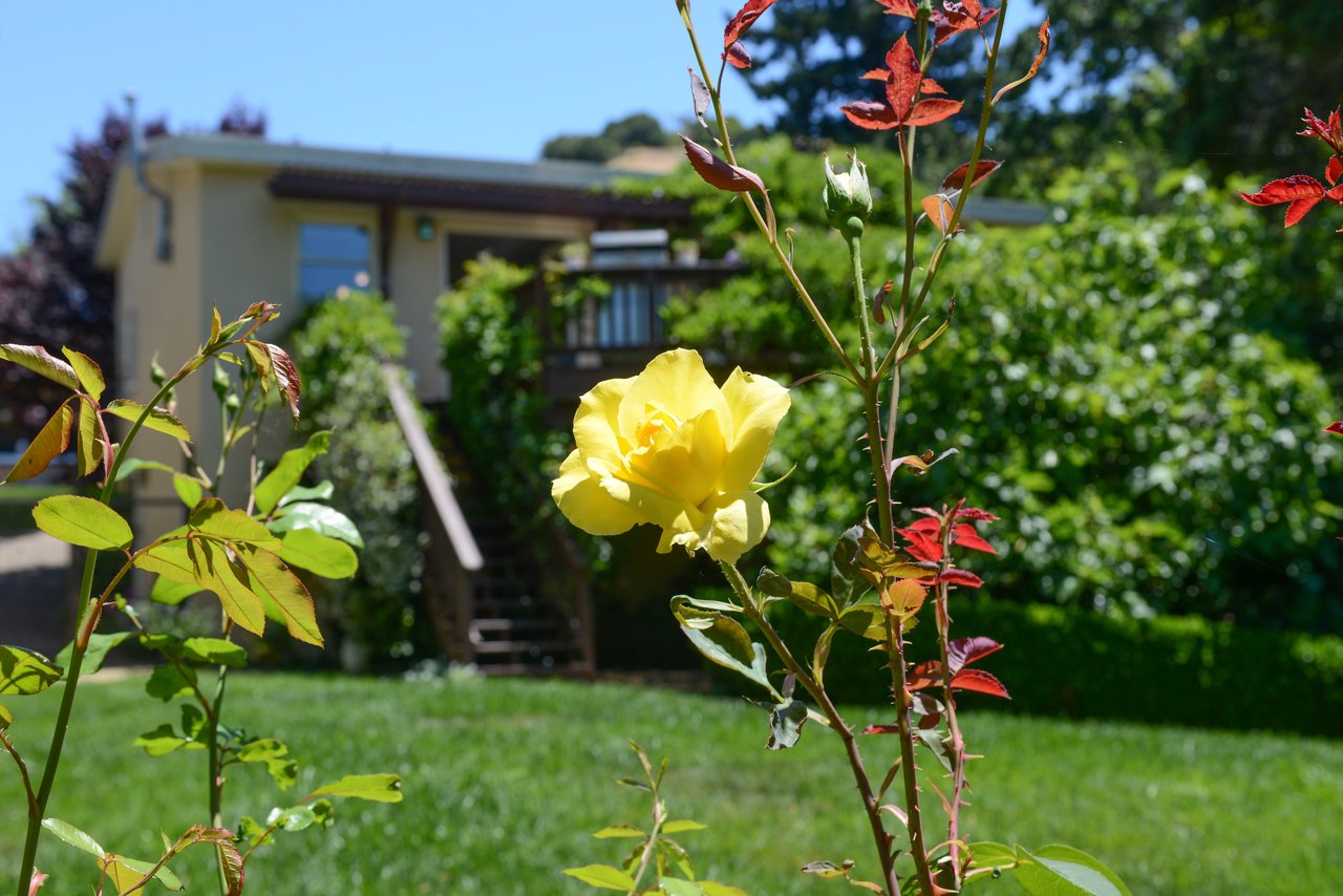 65 Bella Vista Avenue, San Anselmo