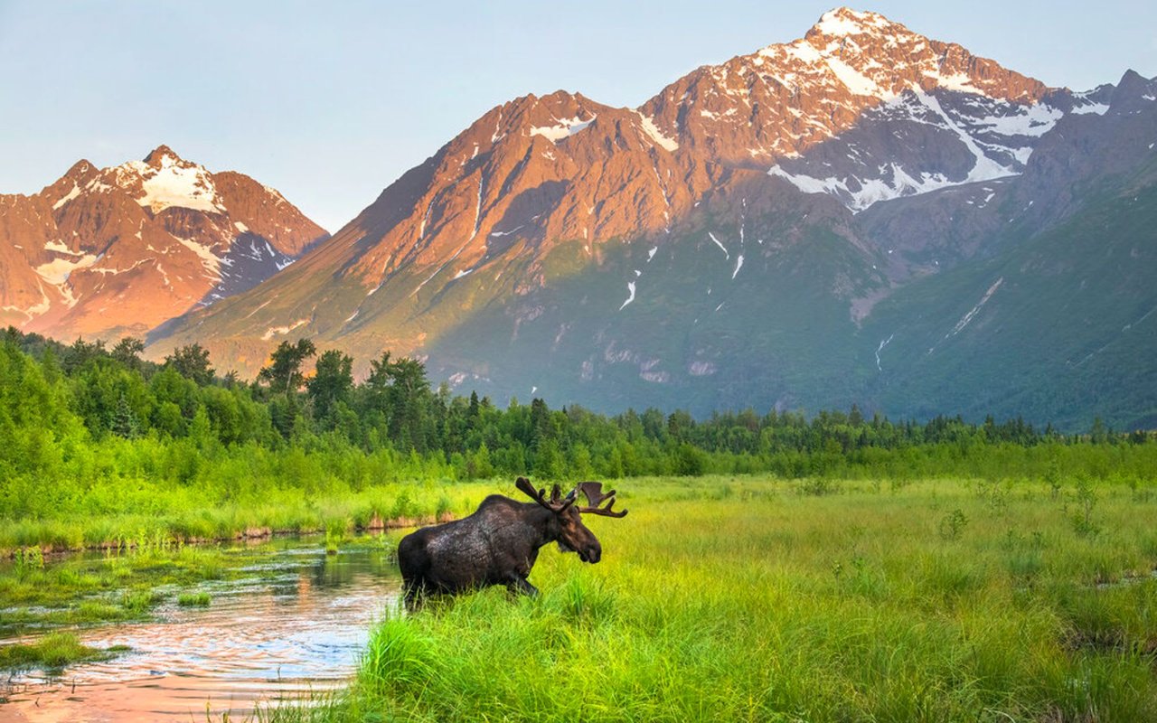 Eagle River