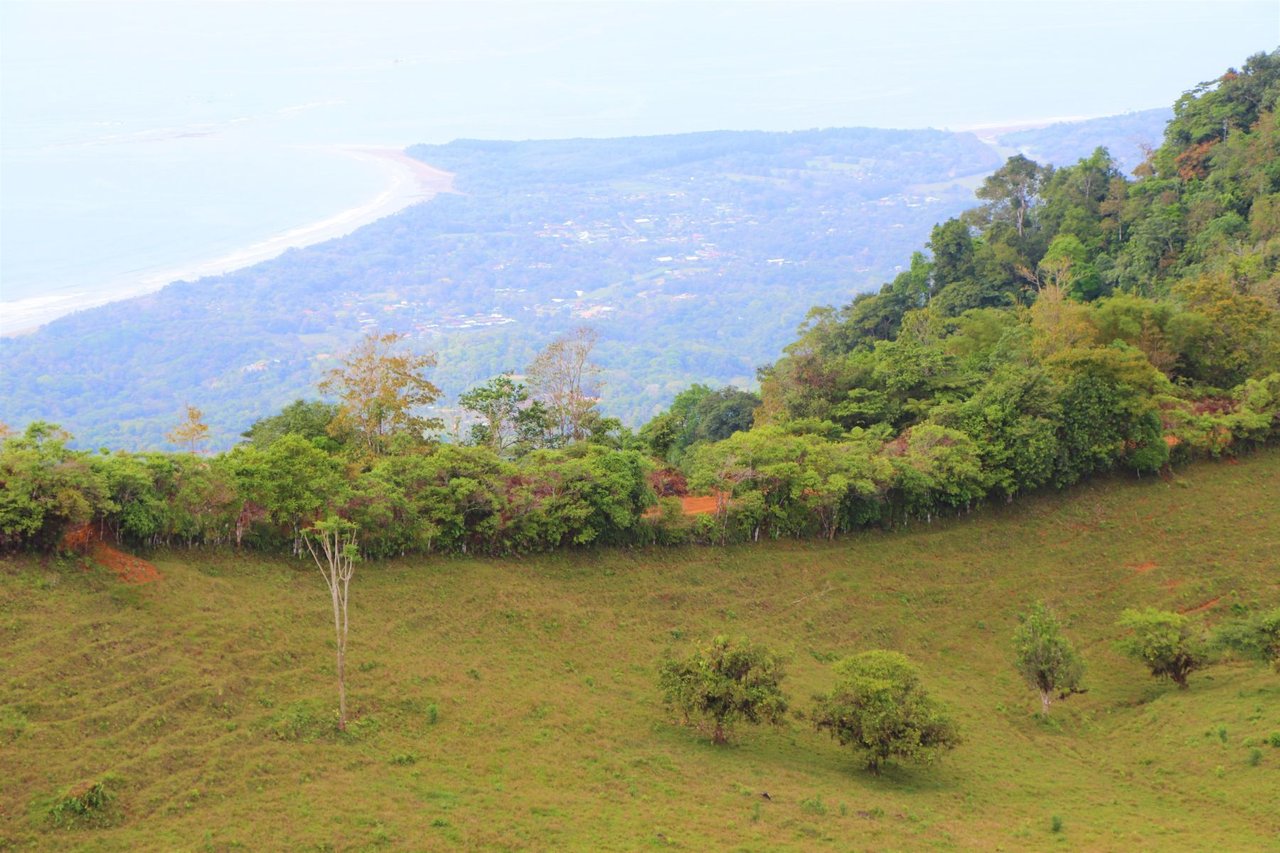 Ocean View Development Farms, Uvita, Puntarenas