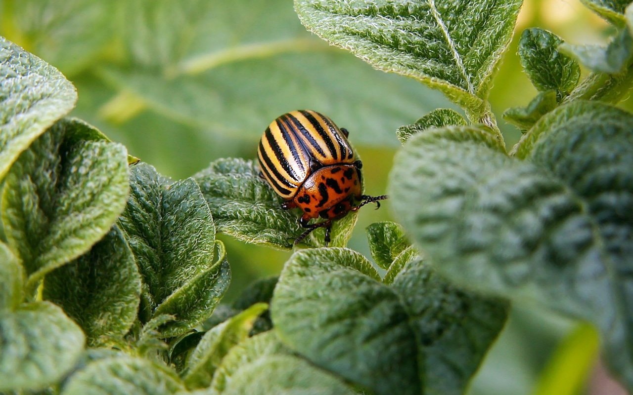 Own your own little slice of heaven in Douglas County: America’s Healthiest Community