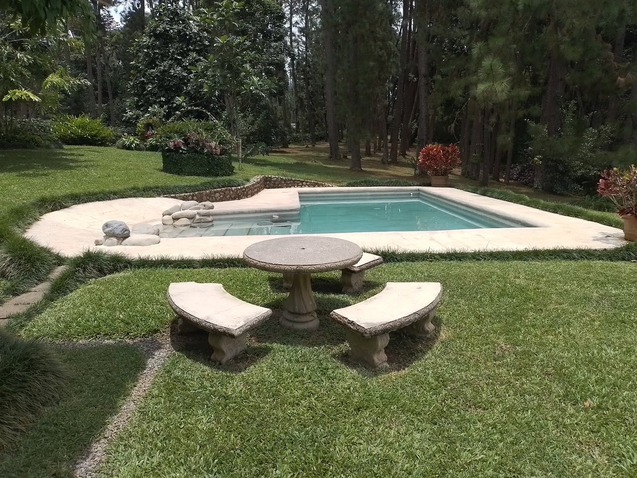 Coffee Farm Hacienda Estate, Perez Zeledon, San Jose