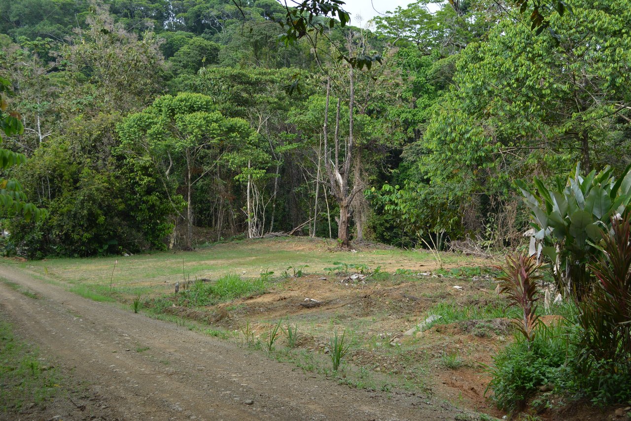 Lagunas 5 Lots 1 Acre+ Lagunas/Dominical