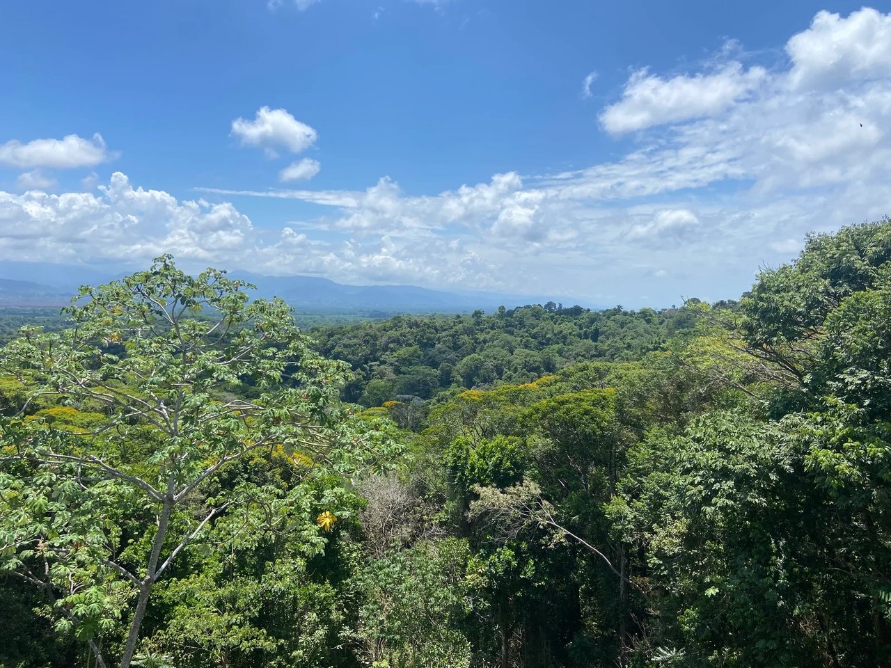 Gated Multi Unit Rental Estate, Manuel Antonio, Puntarenas