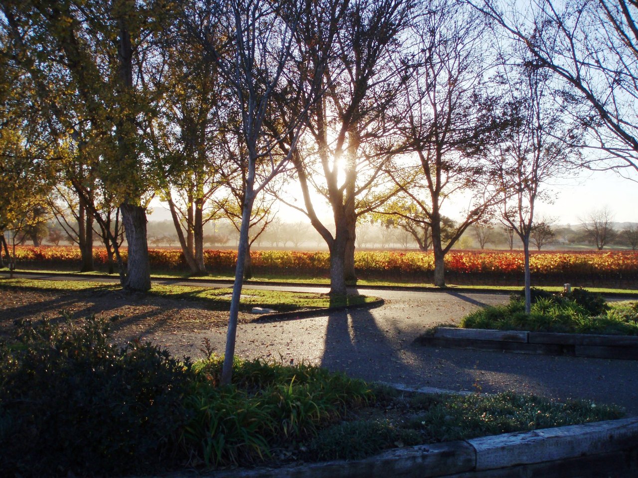 Check out our backyard!