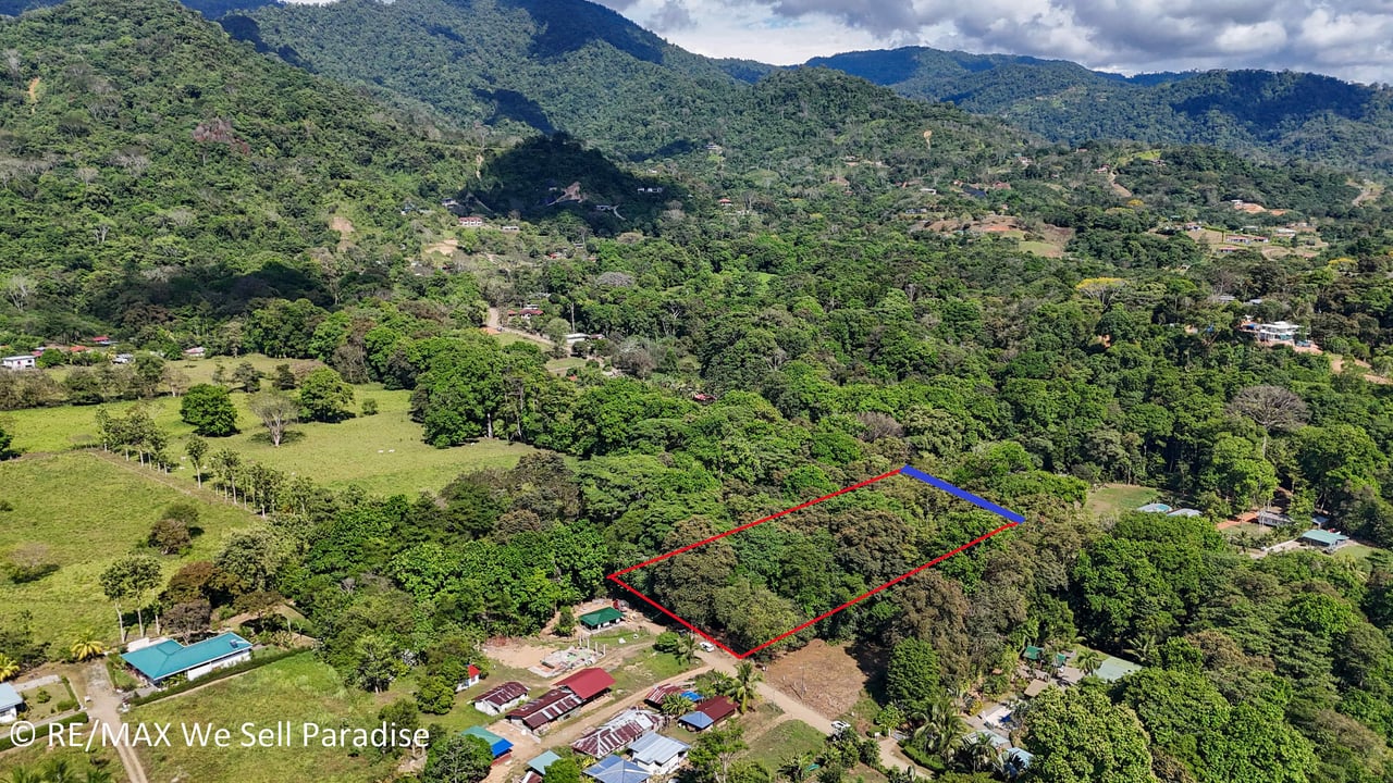 A large jungle-clad piece of land with mountain views, internal creek, and river frontage.