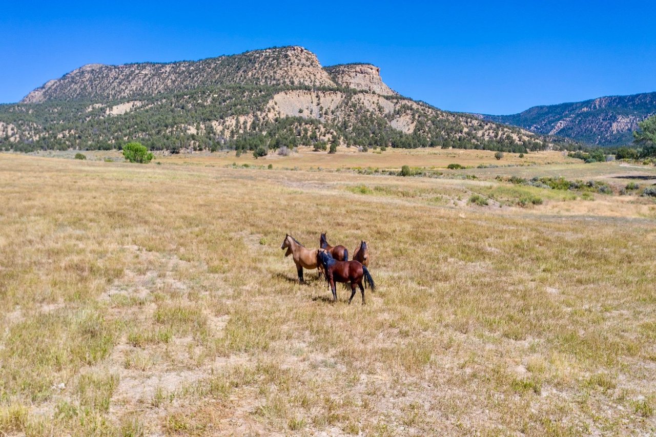 Weber Creek Ranch