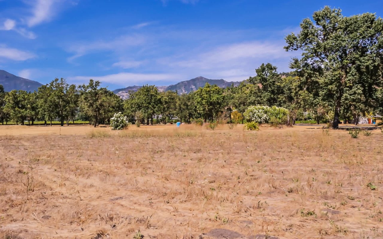 Premium One Acre Estate Site - SOLD