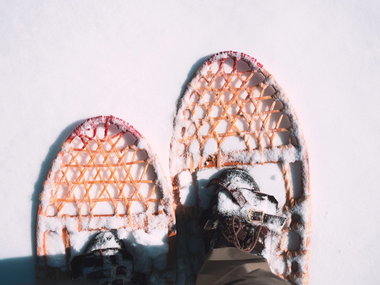 Looking for New Colorado Adventures? Why Not Try Snowshoeing. Here’s Our Best Advice on Where to Go and How to Get Started!