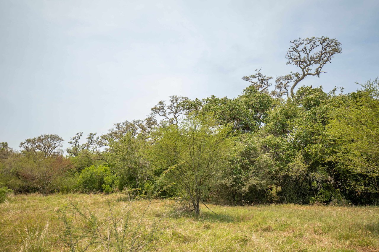 Green DeWitt Rd | 40.82± Acres | DeWitt County