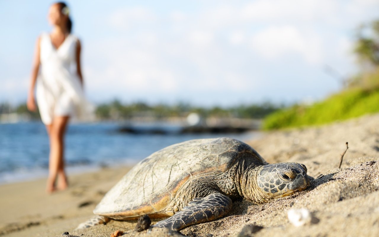 Luxury Living on Hawaii's Big Island - It's All About the Great Outdoors