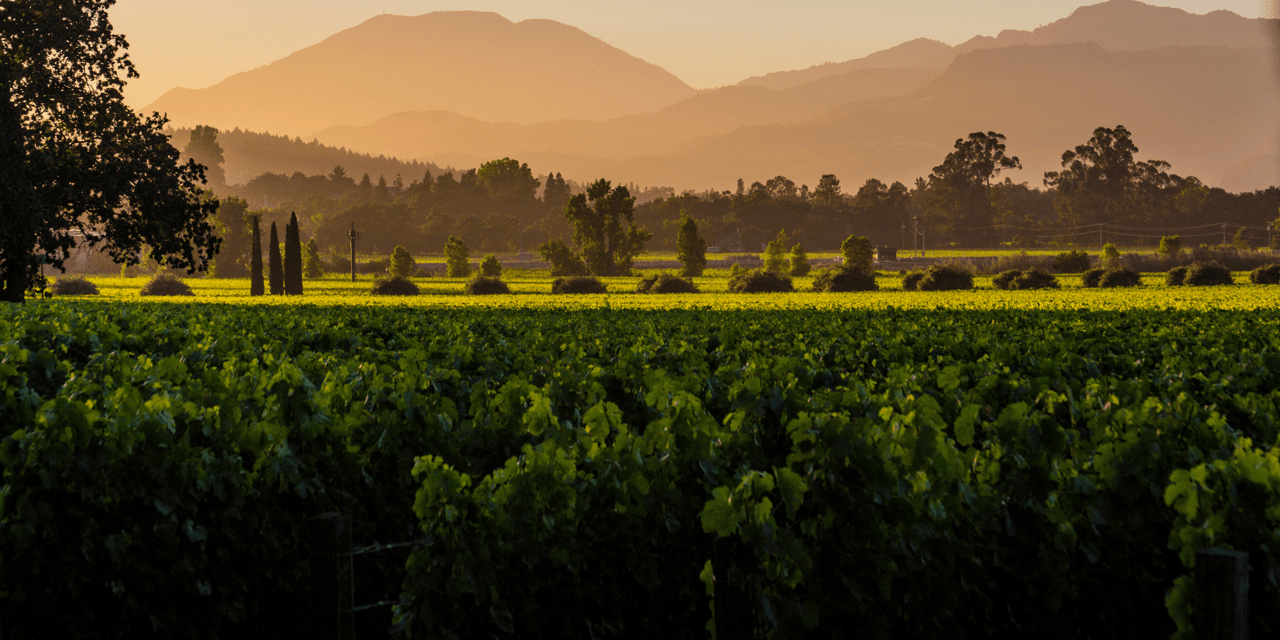 Discover Napa Valley's Eco-Chic Hotels