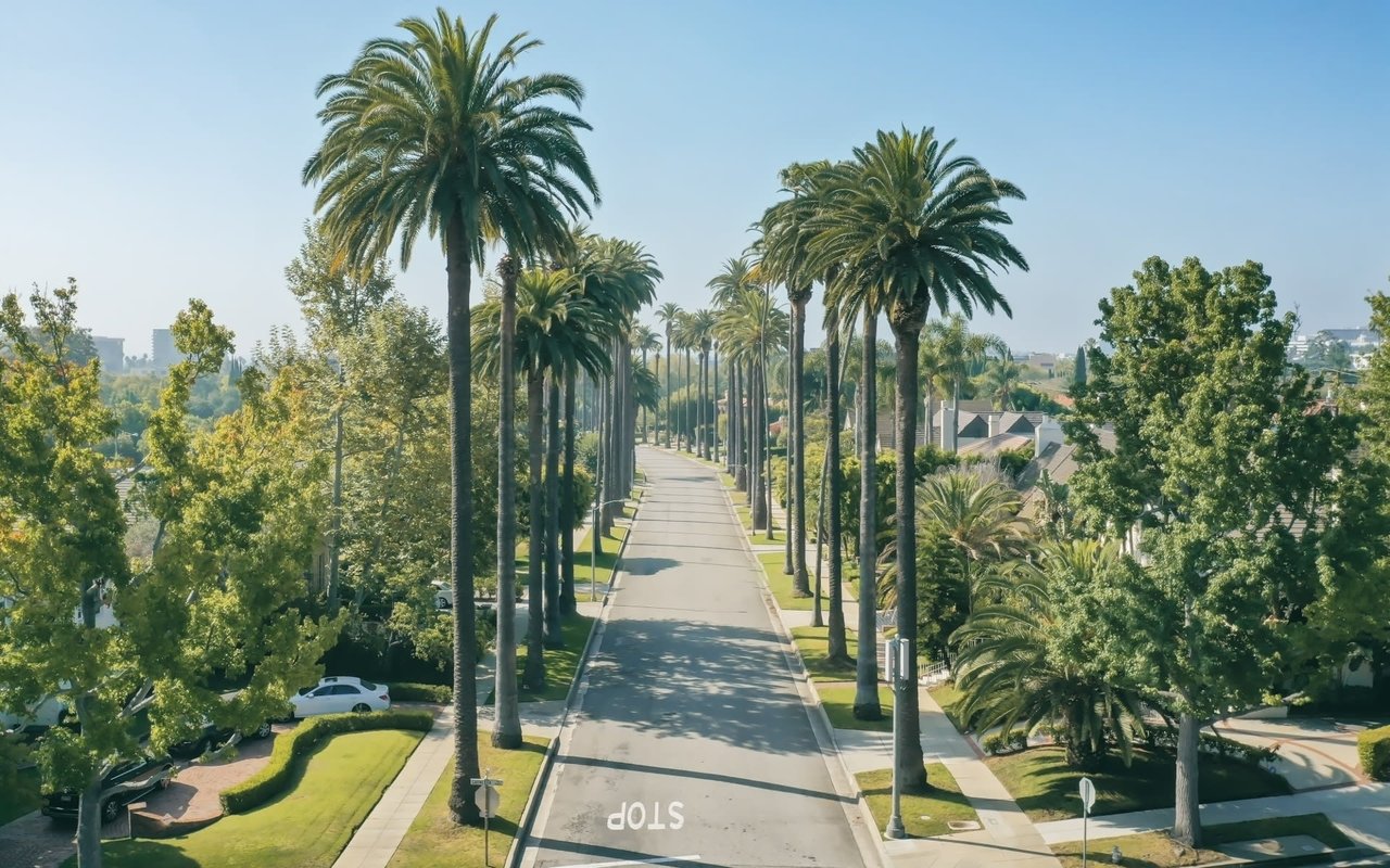 An aerial view of a tree-lined street in Beverly Hills, California.