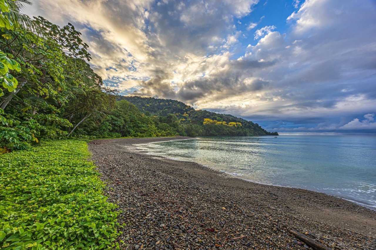 Private Beachfront Rainforest Estate, Osa, Puntarenas