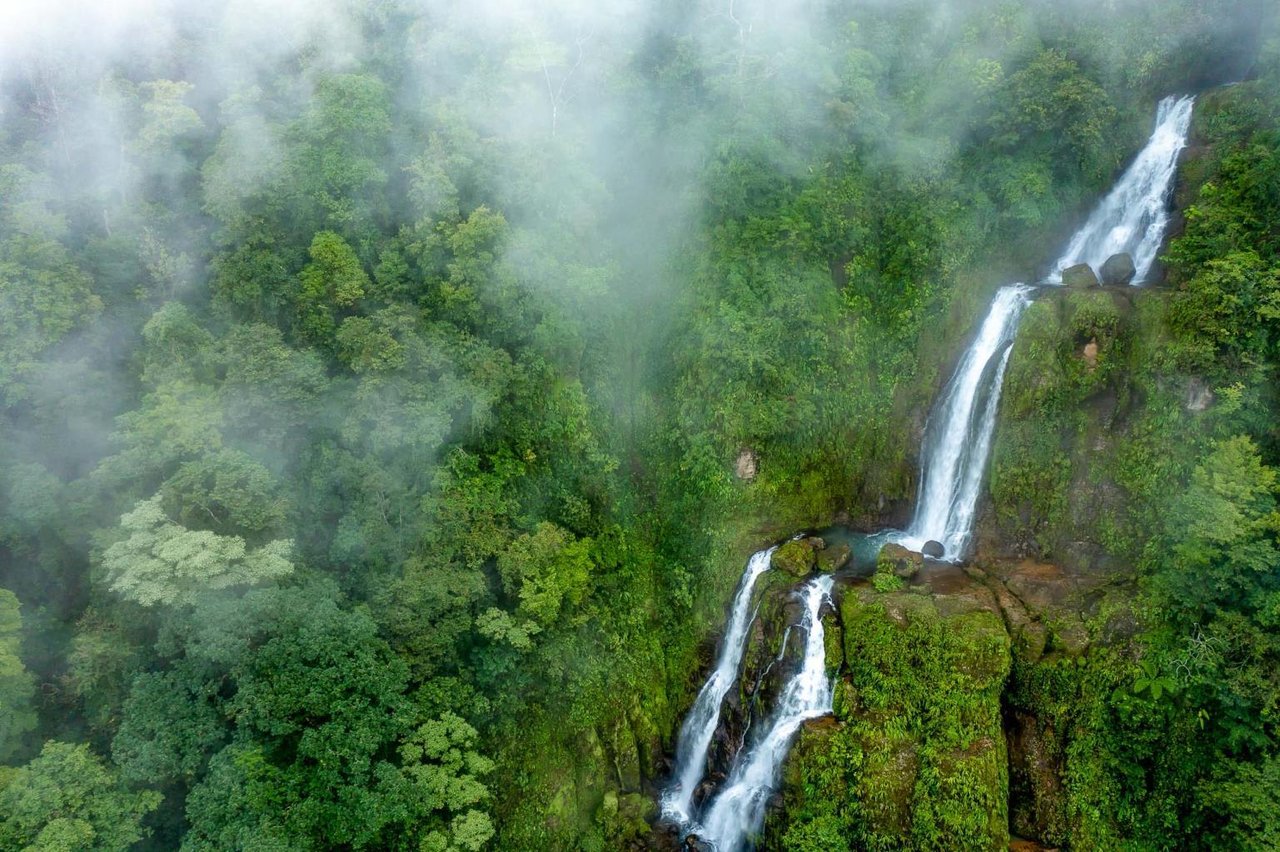 Diamante Waterfall Farm