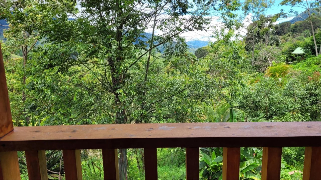 Mountain Retreat with Guest Cabin, Perez Zeledon, San Jose