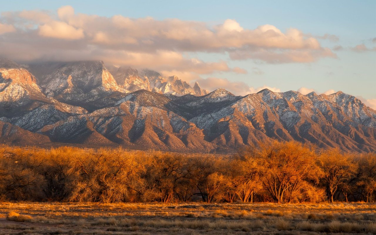 Albuquerque