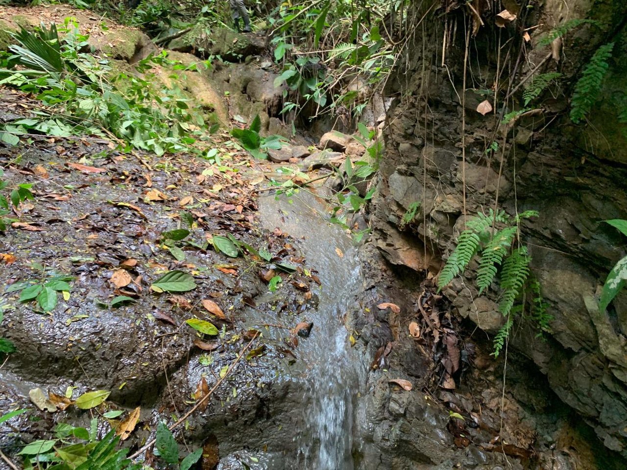Prime 286-Acre Ocean View Property for Sale Near Quepos, Costa Rica – Ideal for Development