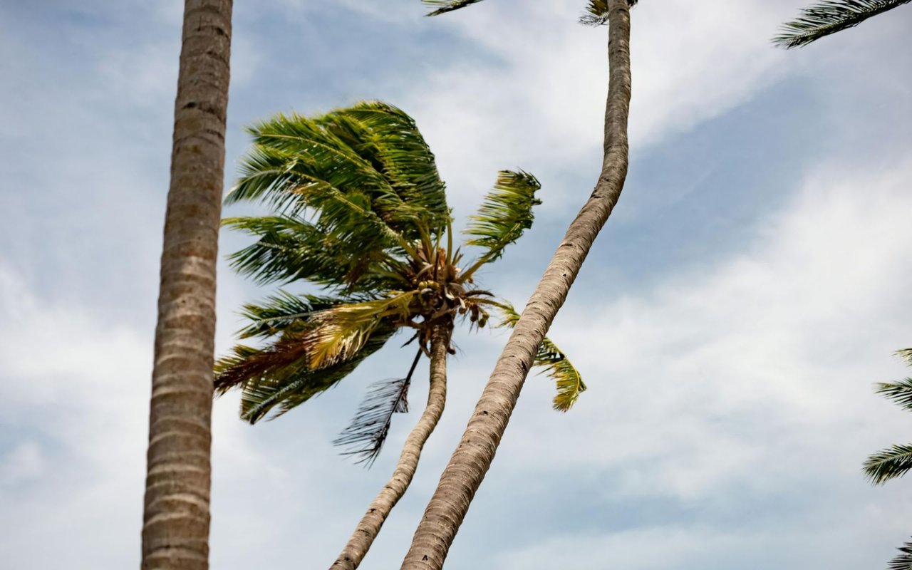 Hurricane-Proofing Your Longboat Key Home