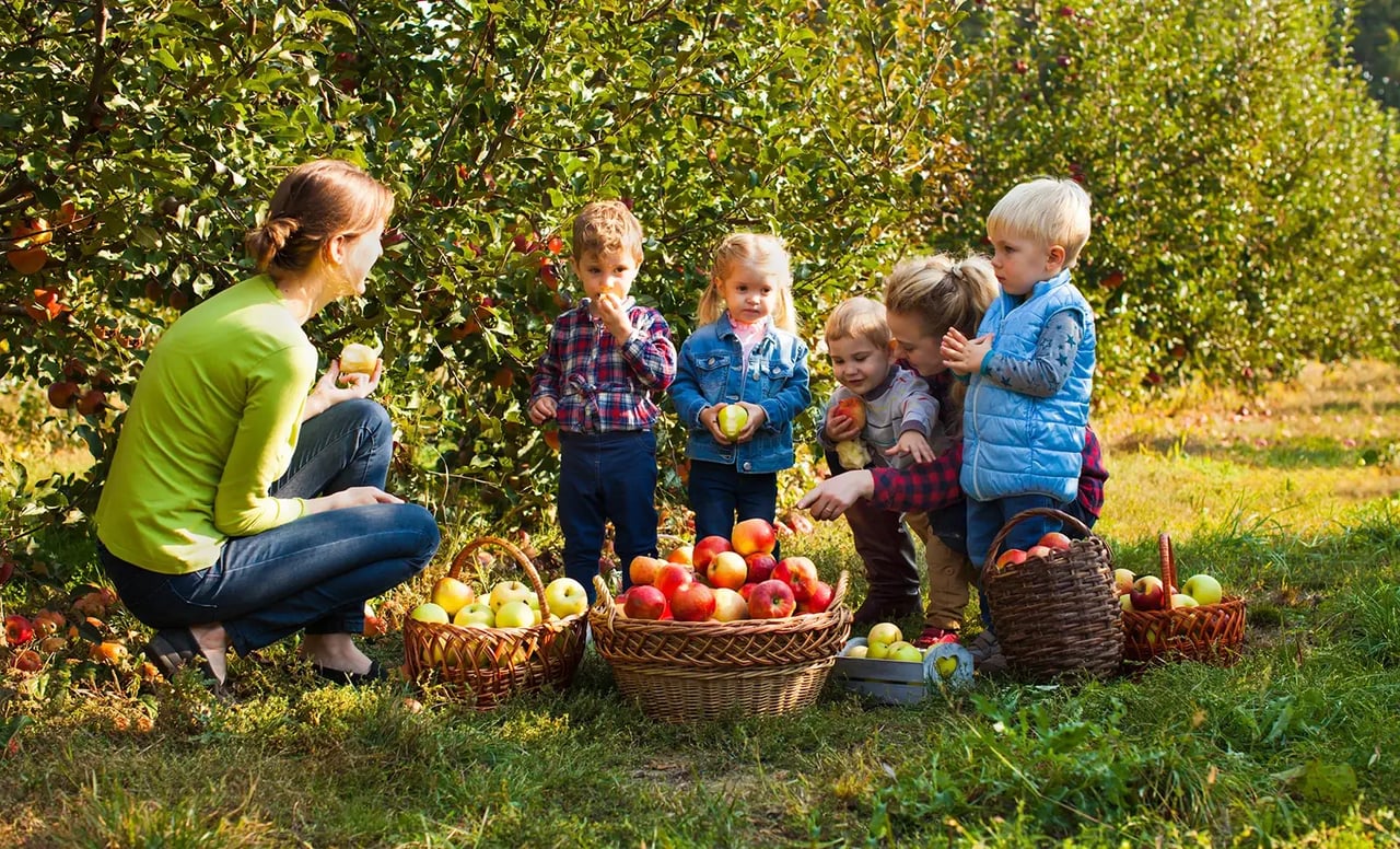  The Ultimate Fall Family Fun on Long Island: Apple Cider, Donuts, and More!