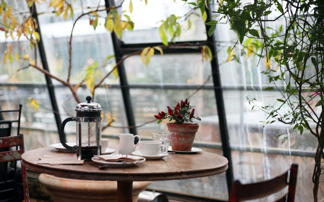 Discovering the Food Scene in Durham, NC: Best Restos & Cafes