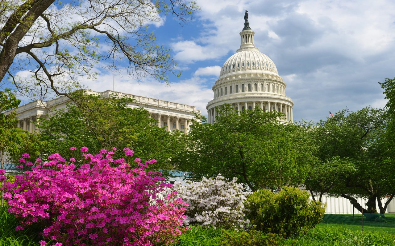 A grand building stands tall amidst vibrant blooms.