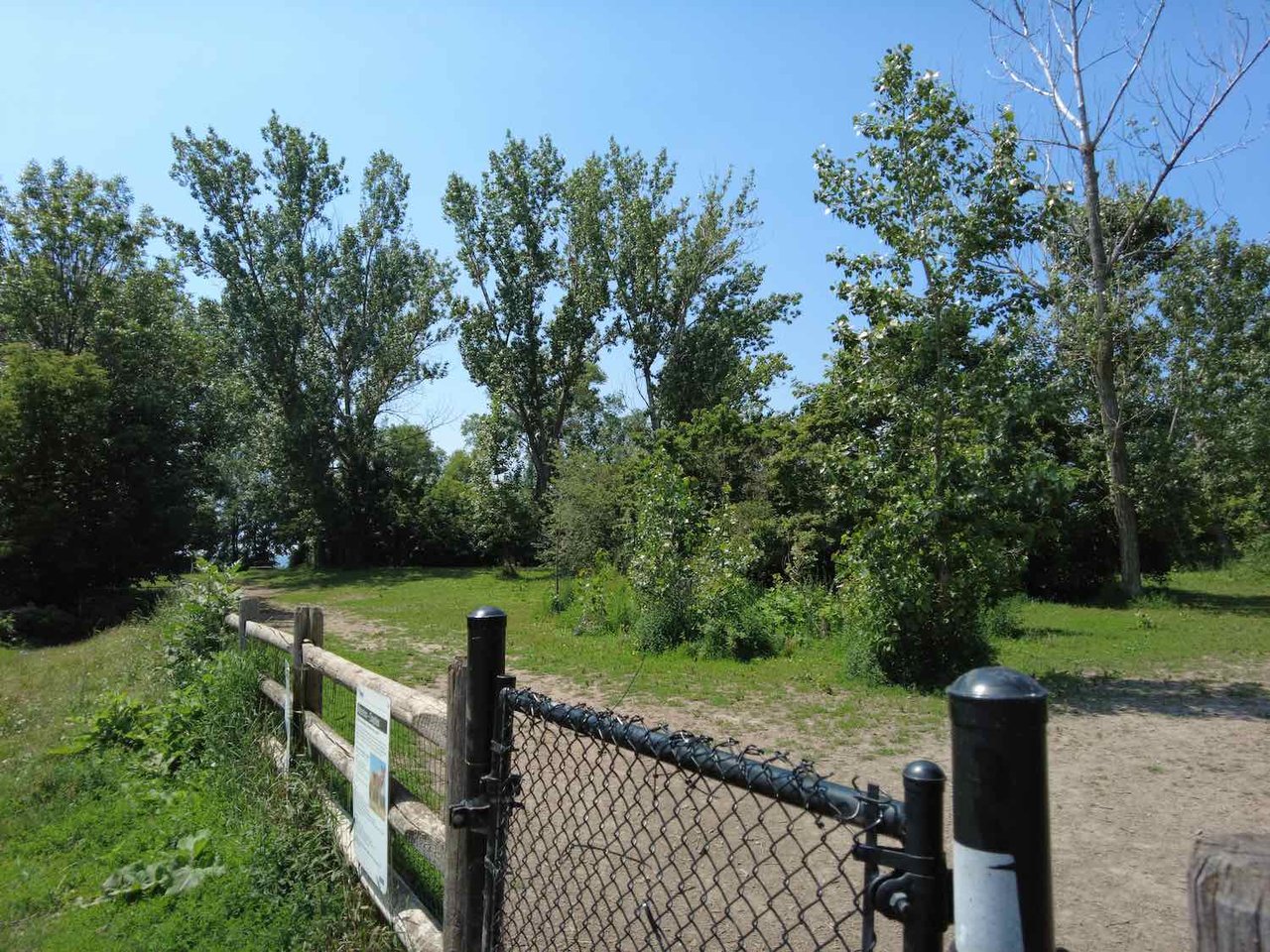 Humber Bay Shores: The Ultimate Dog-Friendly Neighbourhood