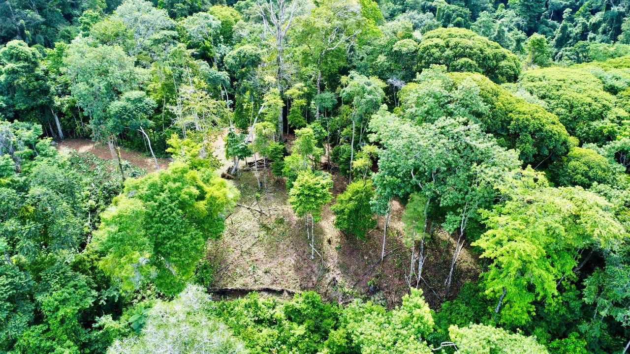 Marvelous Ocean View Parcel in Uvita.
