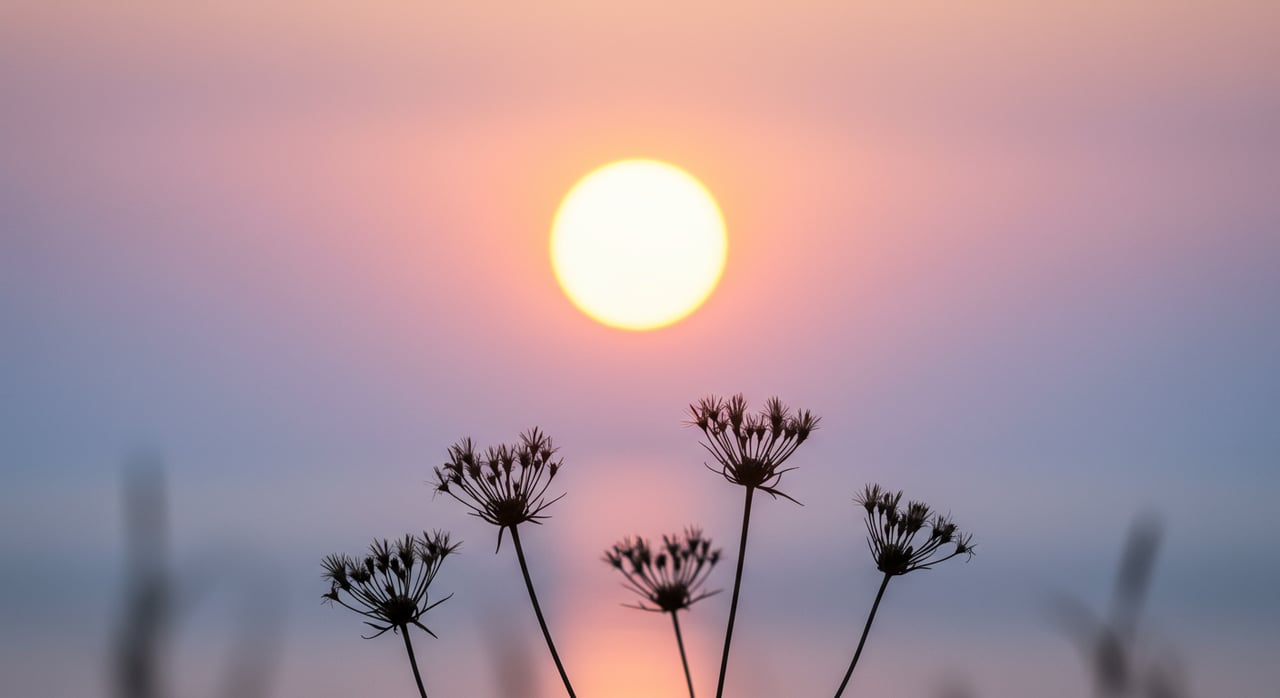 March 2023 Denver Porch Report