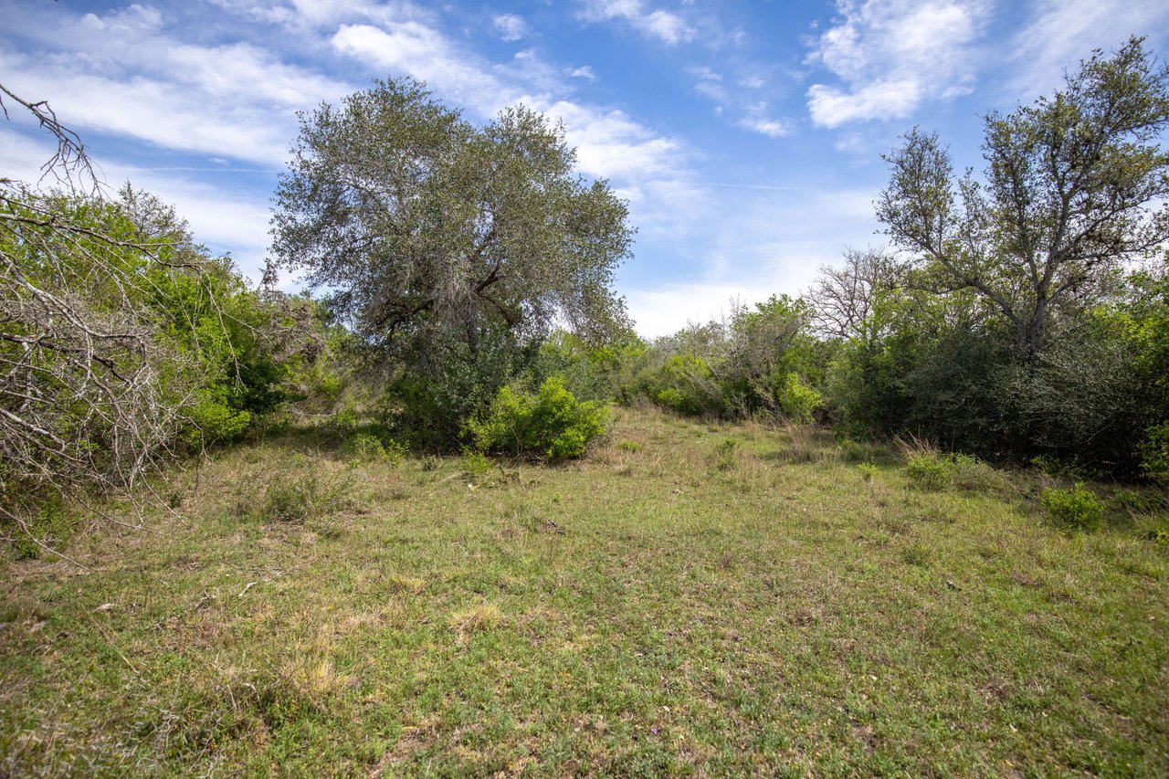 Weesatche 110 Acres
