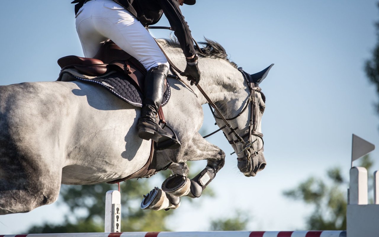 Discover Miami Beach's Hidden Gems at the Longines Global Champions Tour