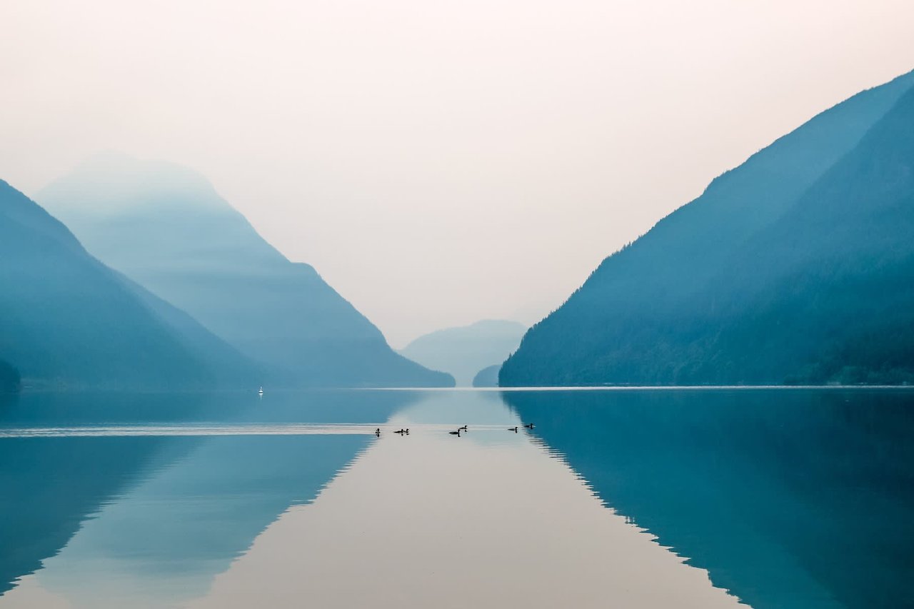 June 2022 | Issue No. 15