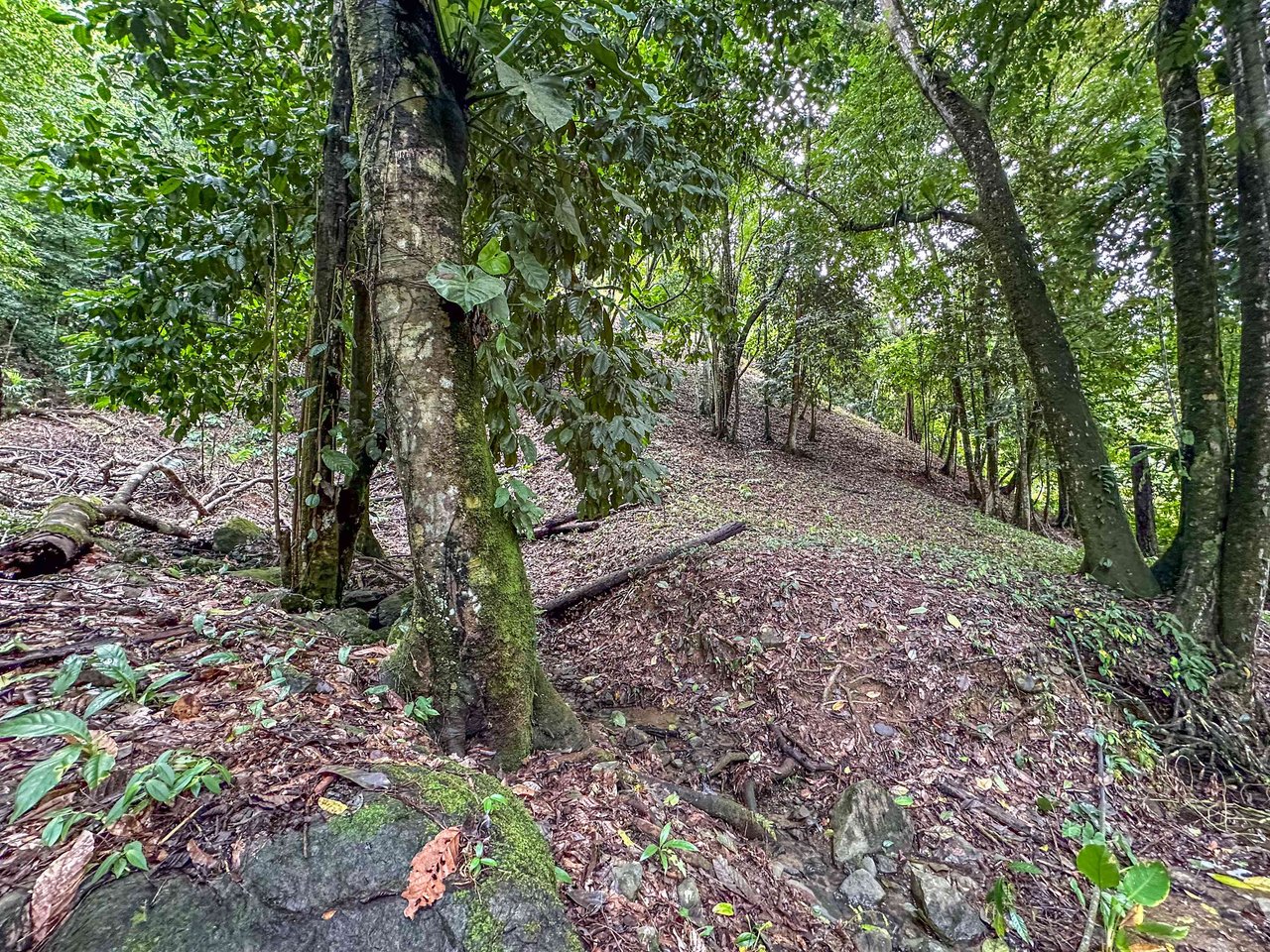 Prime 9.4-Acre Ocean View Land in Golfito